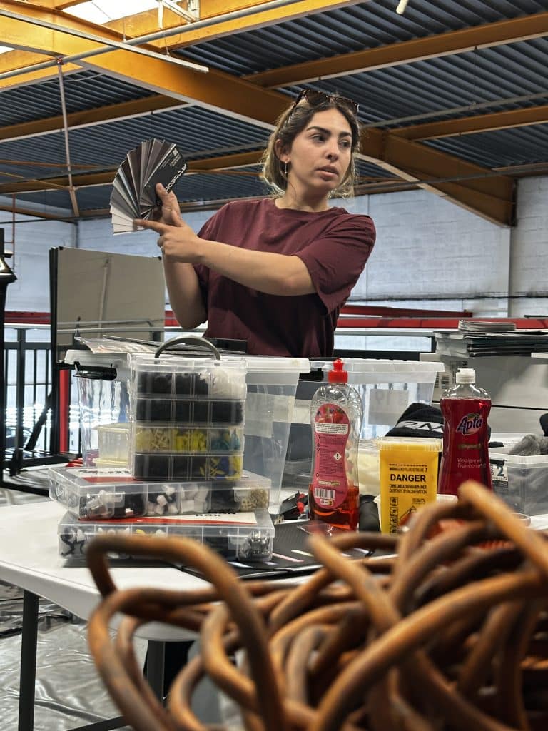 pole d'excellence des services de l'esthetique automobile