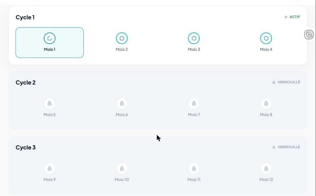 Plan d'action sur 12 mois pour son entreprise de detailing, en 3 cycles